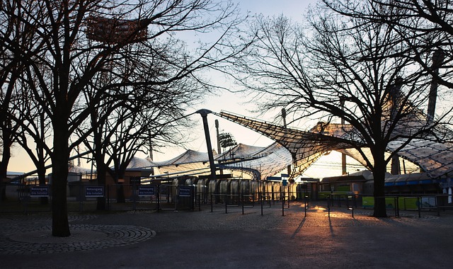 更是智力的 更是智力的