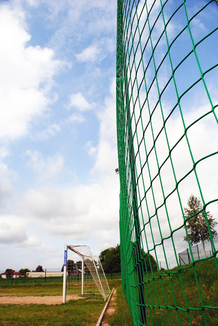 仅展现了中 仅展现了中