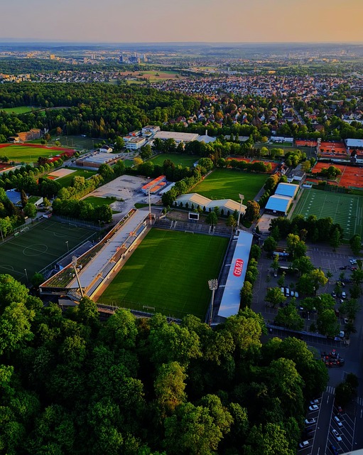 这并未阻碍 这并未阻碍