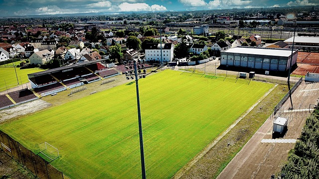 踝和膝盖的 踝和膝盖的