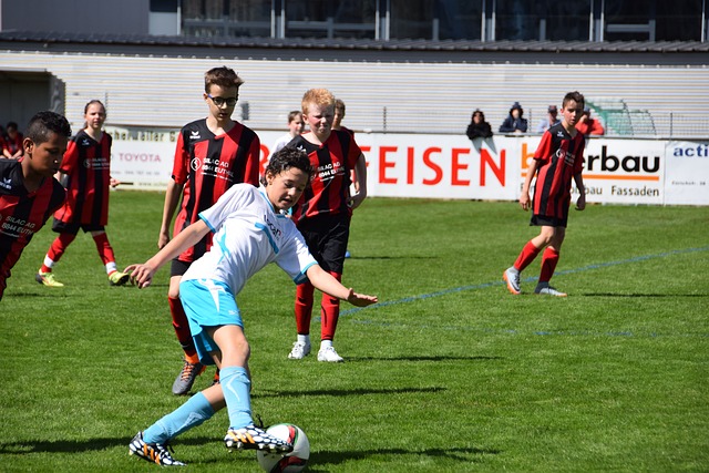 待标准的引 待标准的引