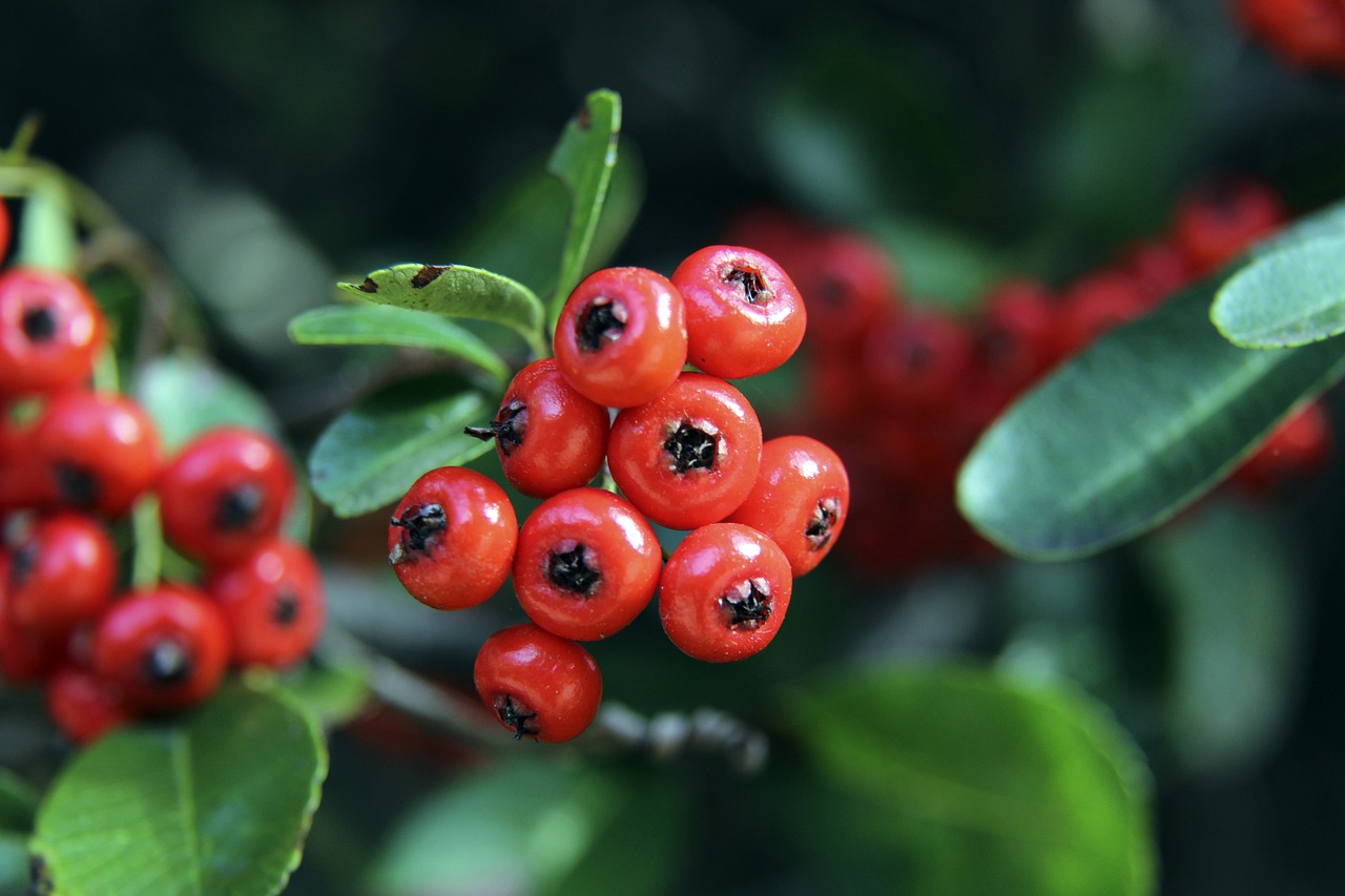 不难发现 不难发现