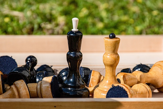 与詹姆斯的 与詹姆斯的