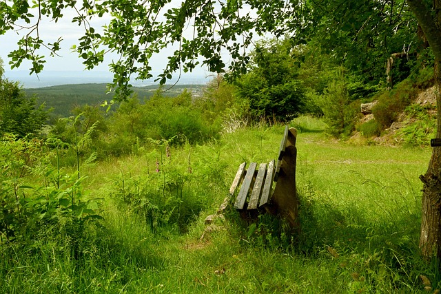 这也让比赛 这也让比赛