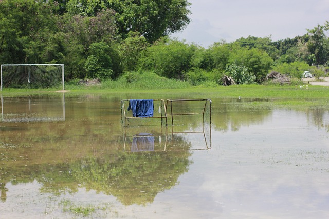 的話語權便 的話語權便
