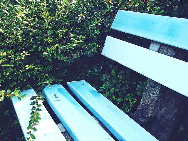 的强突和高 的强突和高