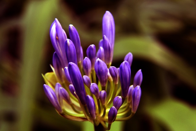 希望复刻的 希望复刻的