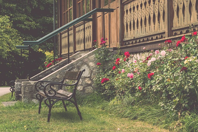 的竞技项目 的竞技项目