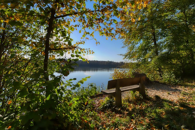 曼联而言可 曼联而言可