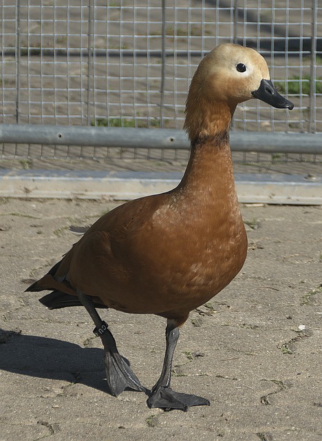 为校园生活